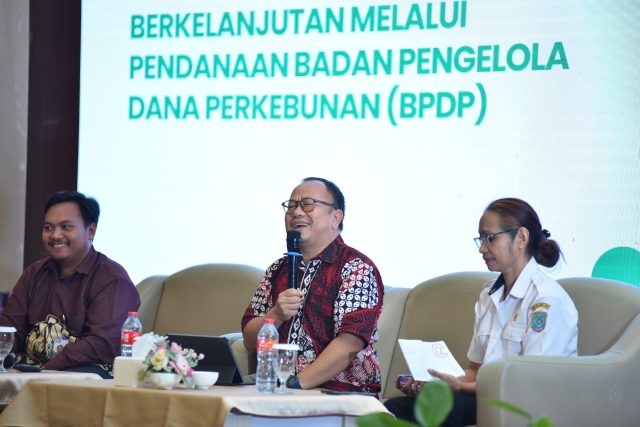 Workshop 3T — Papua — foto 6